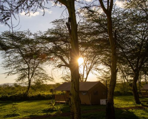 Tramonto nel tranquillo e sereno Africa Lake Manyara Lodge