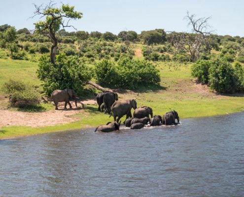 Una famiglia di elefanti si gode le acque rinfrescanti del fiume Tarangire