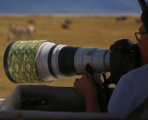 Durante il vostro Safari in Lodge Tanzania di 8 giorni, potrete estendere il tetto del vostro camion Safari per ottenere splendide viste e foto degli animali selvatici.