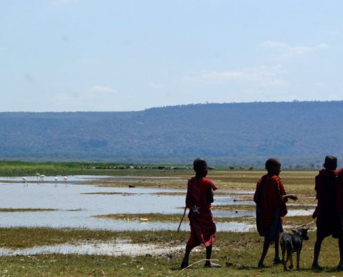 Bambini Masai scortano una capretta nella zona del lago Natron