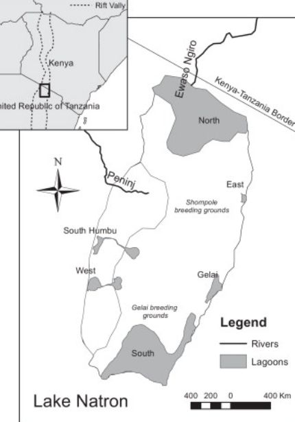 Mappa del Lago Natron
