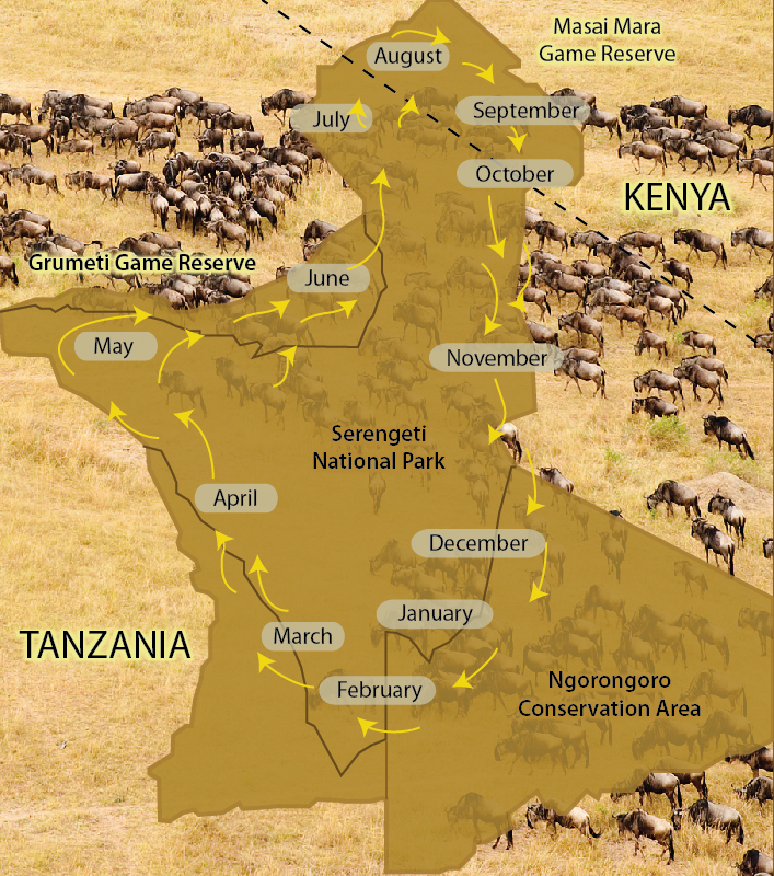 Mappa della Grande Migrazione nel Parco Nazionale del Serengeti